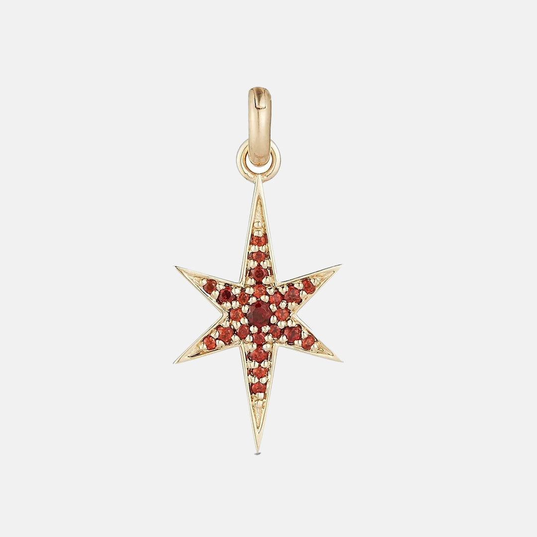 14K Gold & Garnet Stella Charm